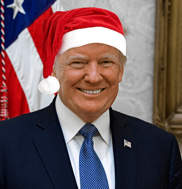 President-Donald-J.-Trump-wearing-a-Santa-Hat-002-371x385